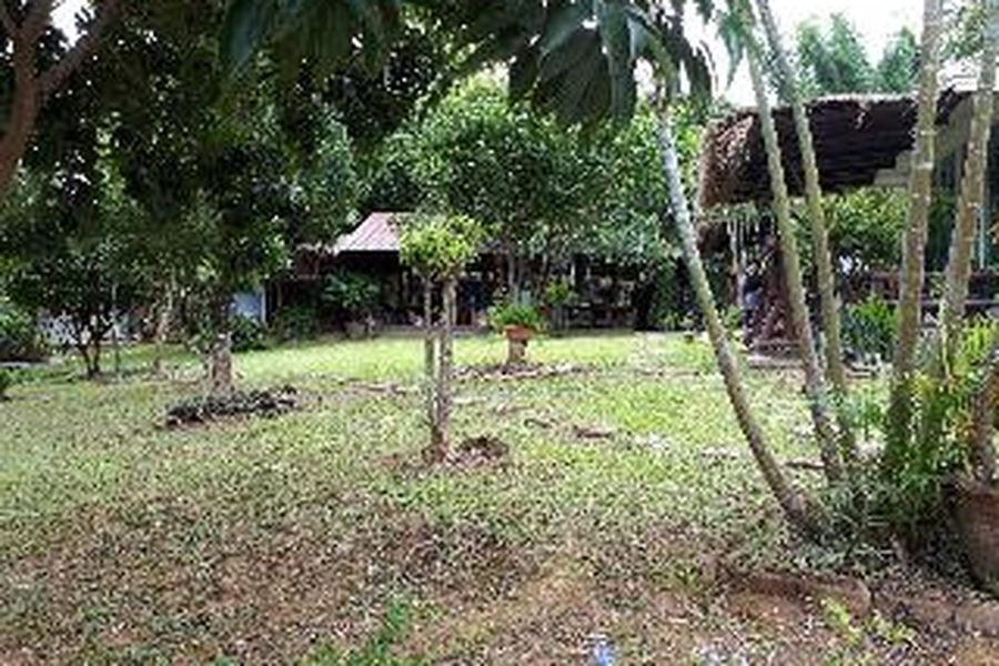 foto-1