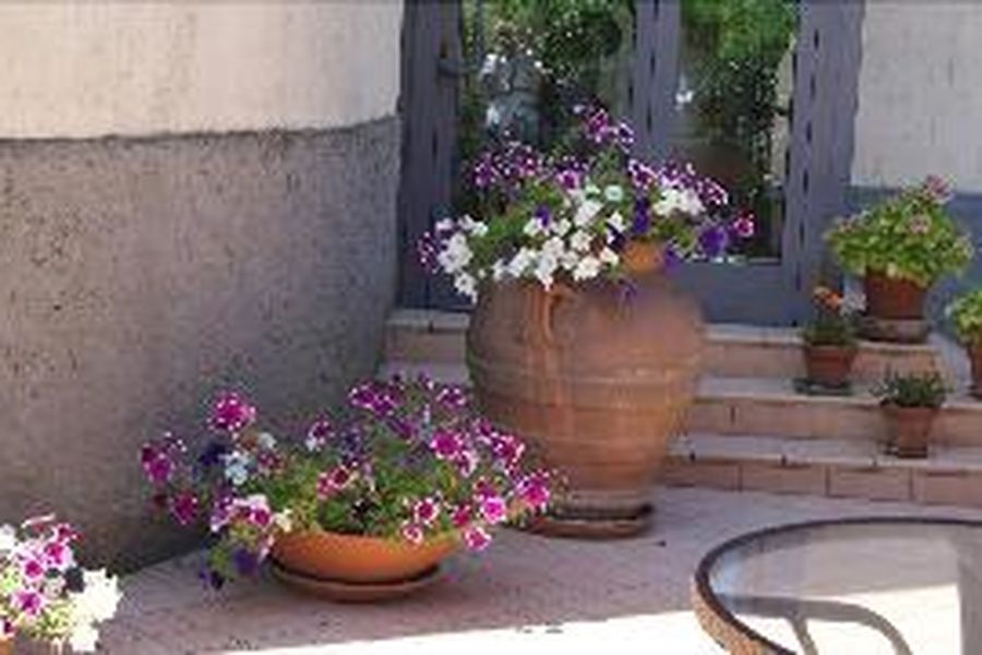 foto-1