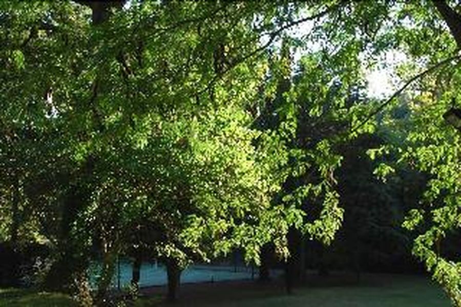 photo-3