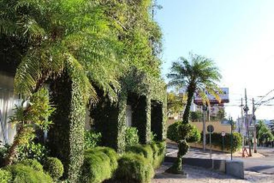 foto-3