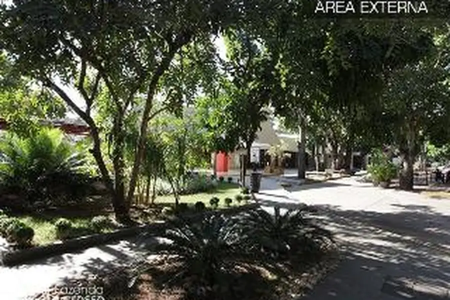 foto-2