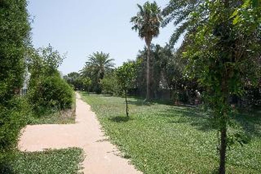 foto-1