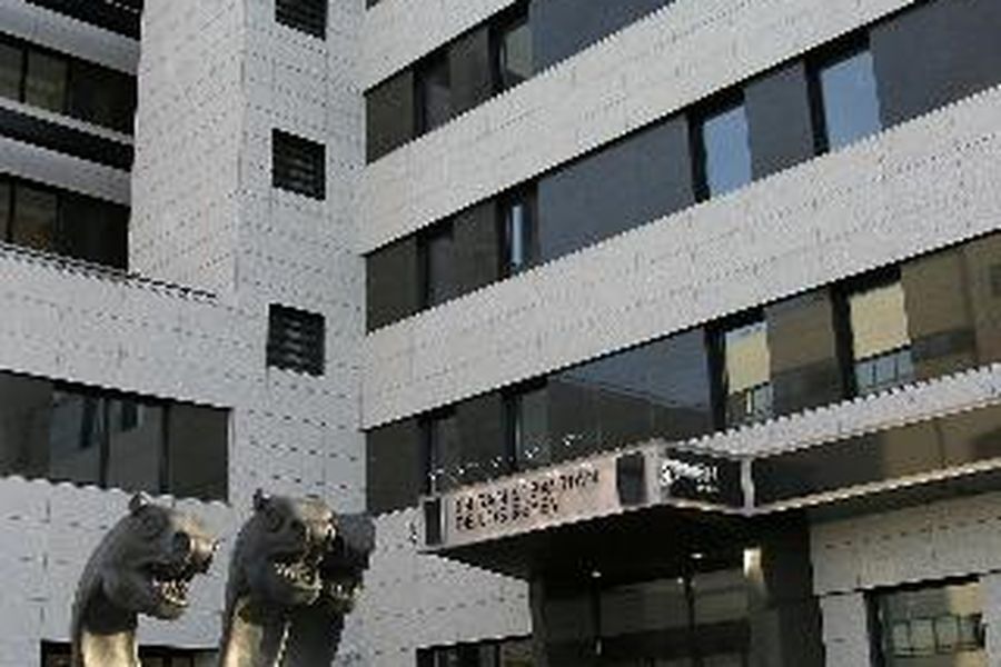 foto-3