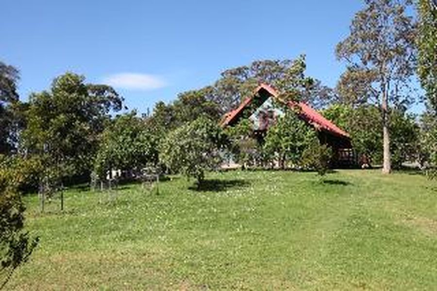 foto-0