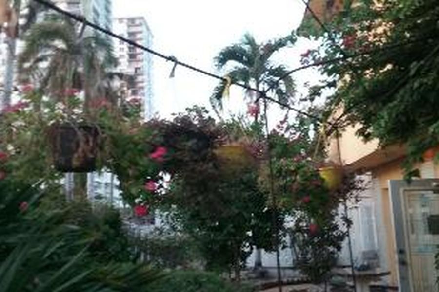 foto-2