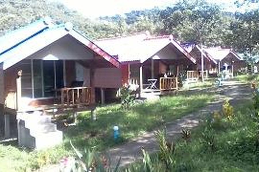foto-1