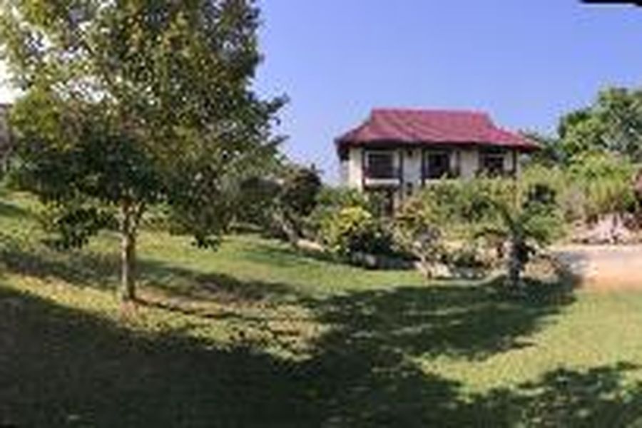 foto-0