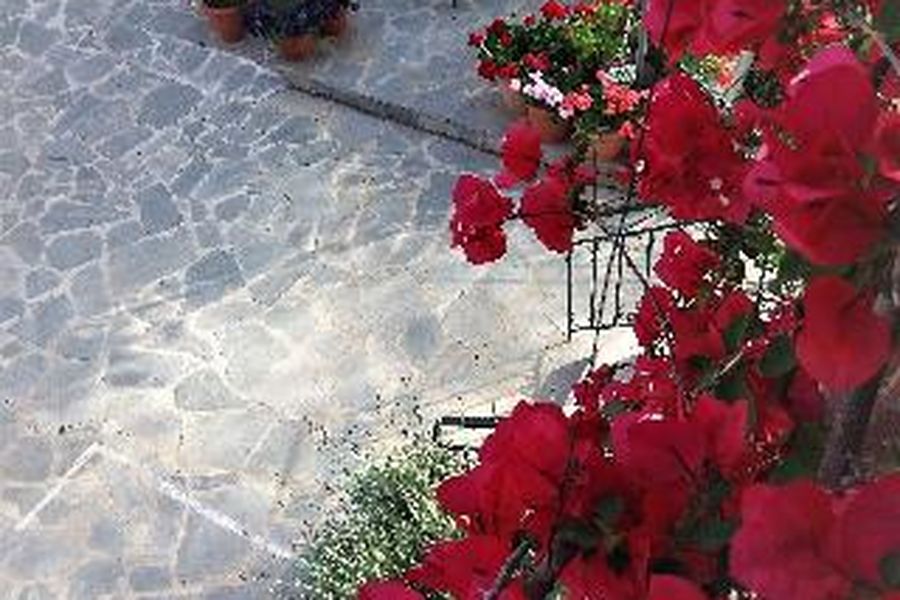 photo-1