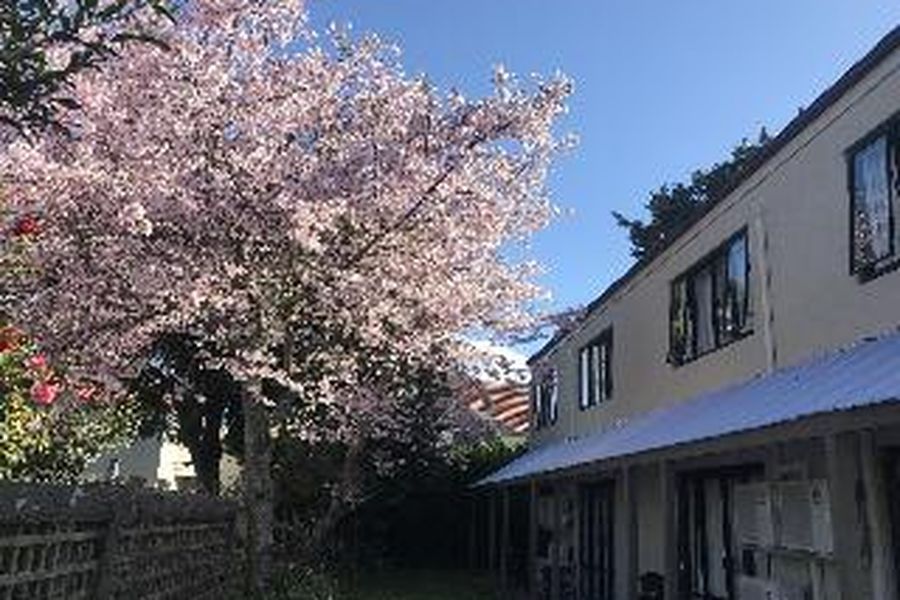 foto-2