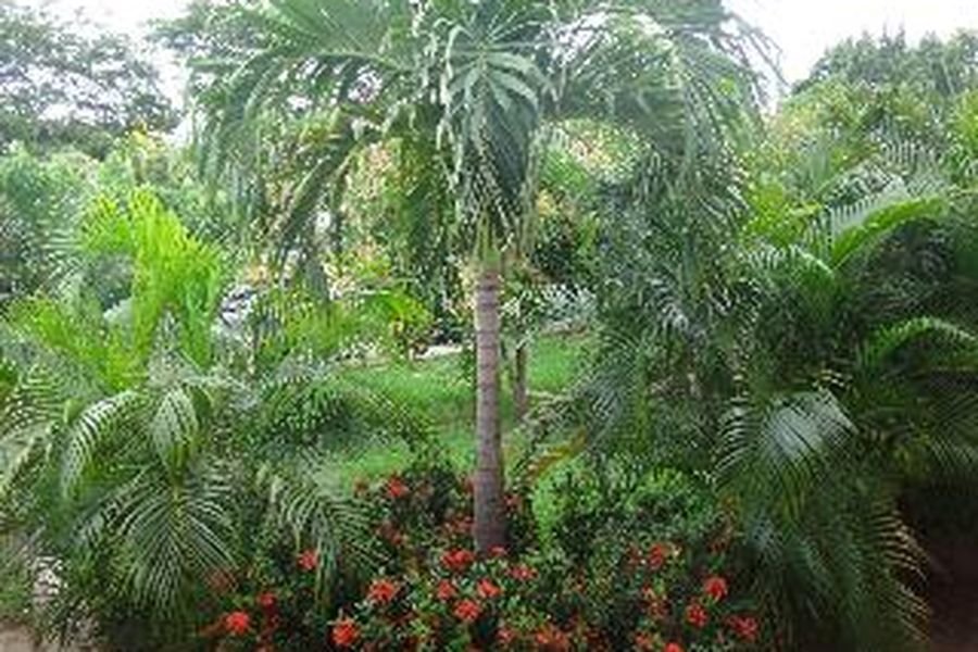 foto-2
