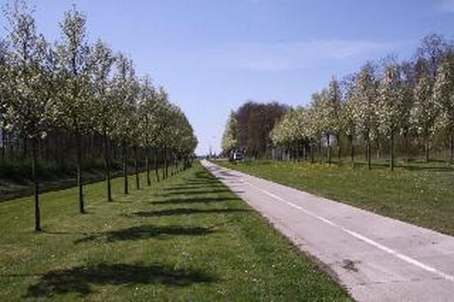 photo-3