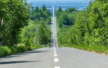 Excursão de dia inteiro em Biei, Furano Flower Sea e Ningle Terrace com almoço