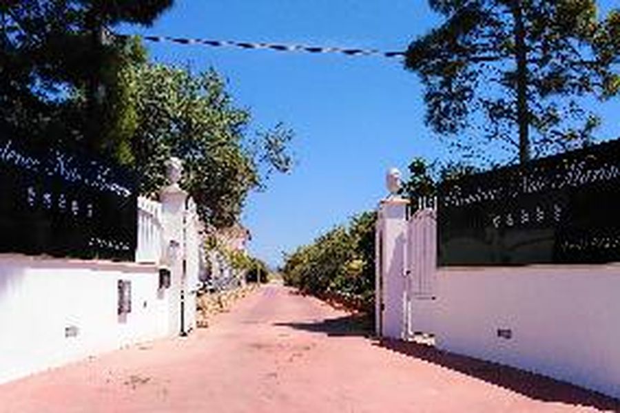 photo-1