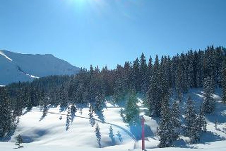 foto-0