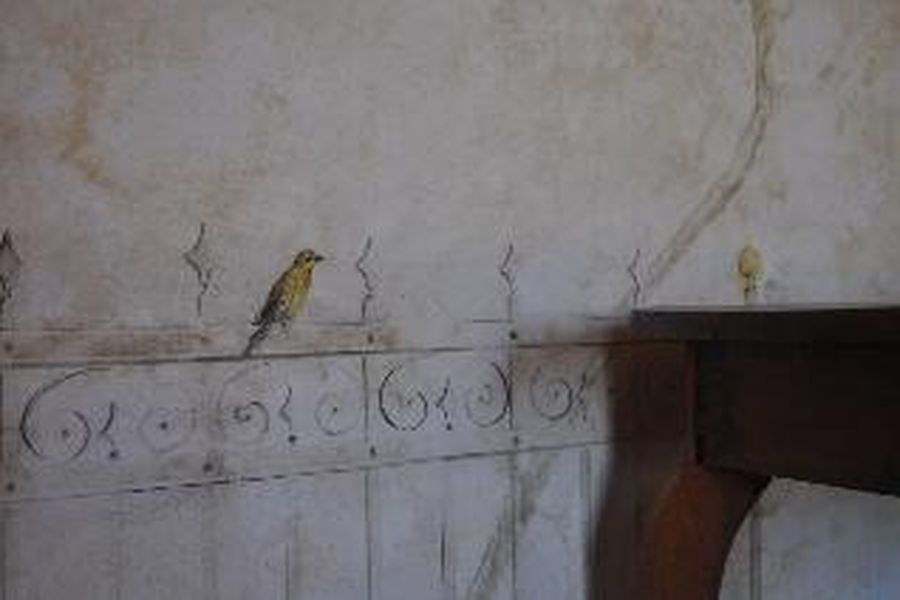 foto-1