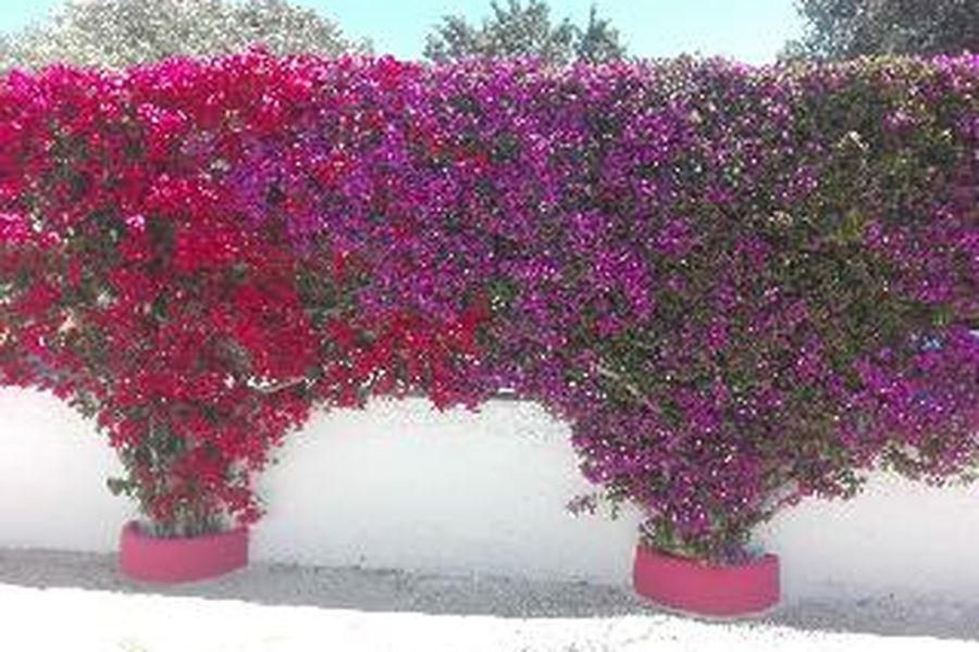 foto-3