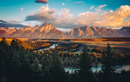 Safari do nascer do sol da vida selvagem no verão e no outono de Jackson Hole
