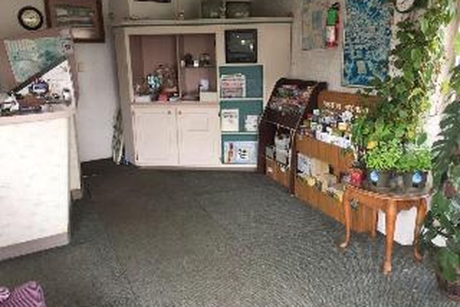 foto-3
