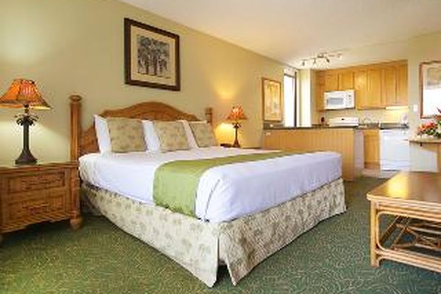 photo-1