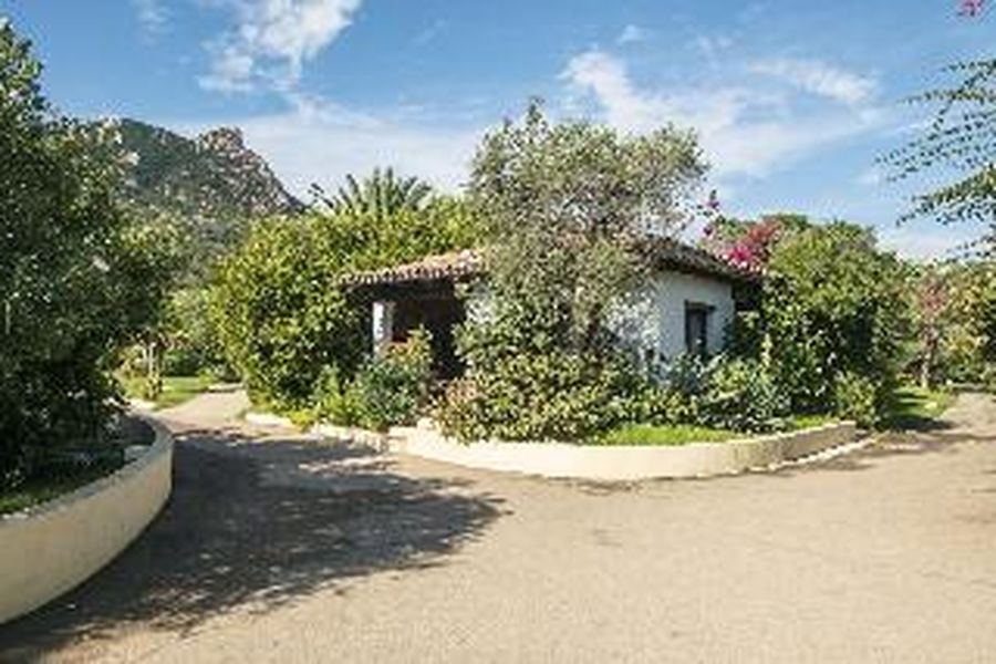 foto-1