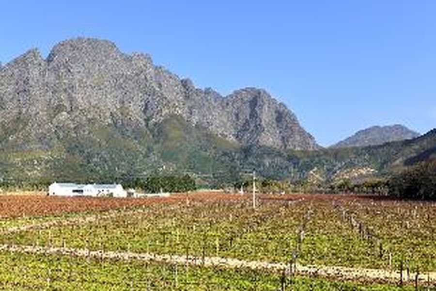 foto-2