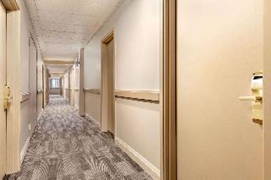 photo-1