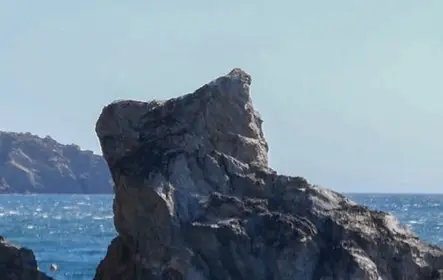 Cap Norfeu: passeio de barco com fundo de vidro de 2 horas saindo de Roses ou Santa Margarita