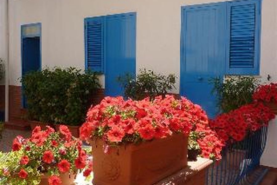 foto-3