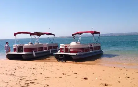 Visita guiada de catamarã na Ria Formosa e Ilhas Faro saindo de Faro