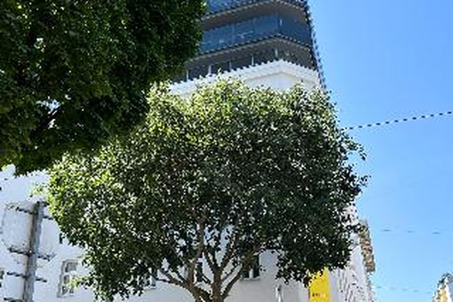 foto-2