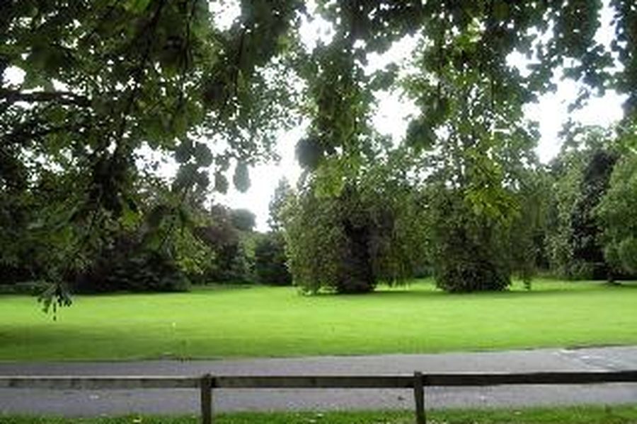 foto-1