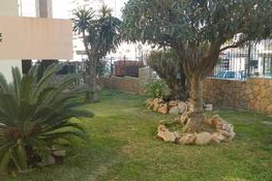 foto-2