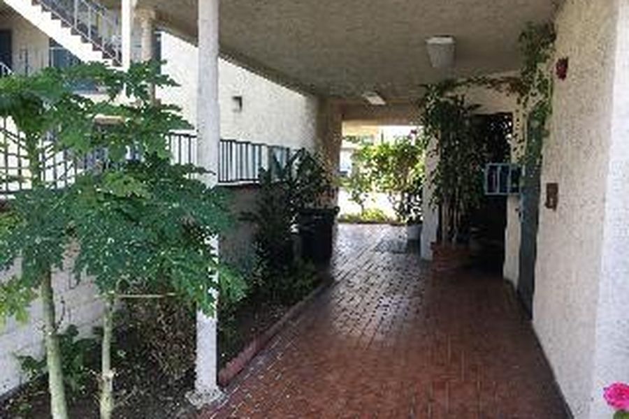 photo-1