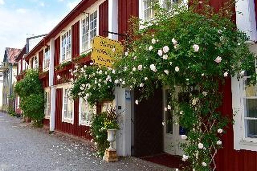 foto-2