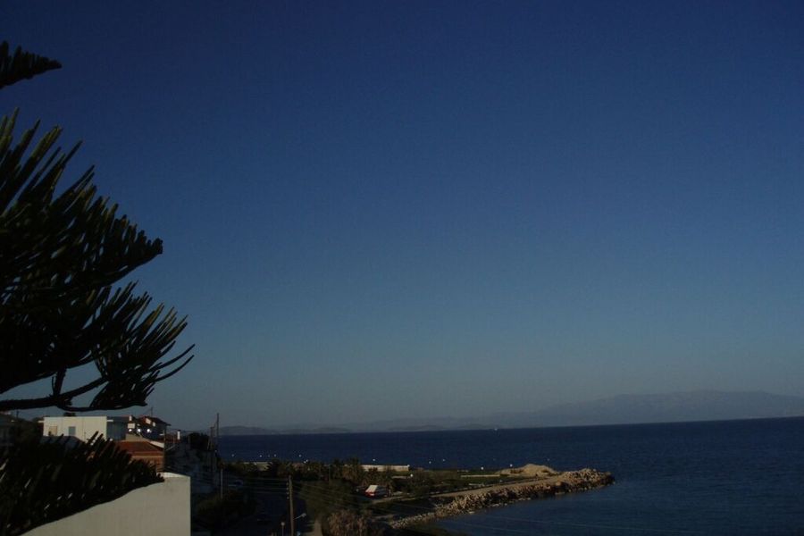photo-1