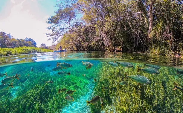 Bonito, Mato Grosso do Sul