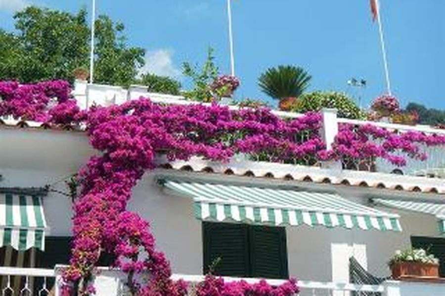 foto-1