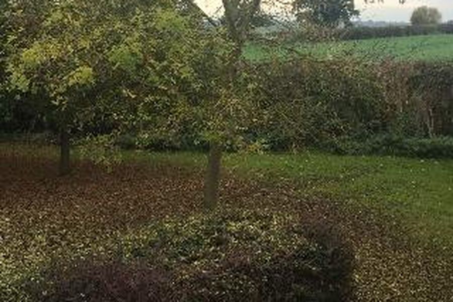 foto-2