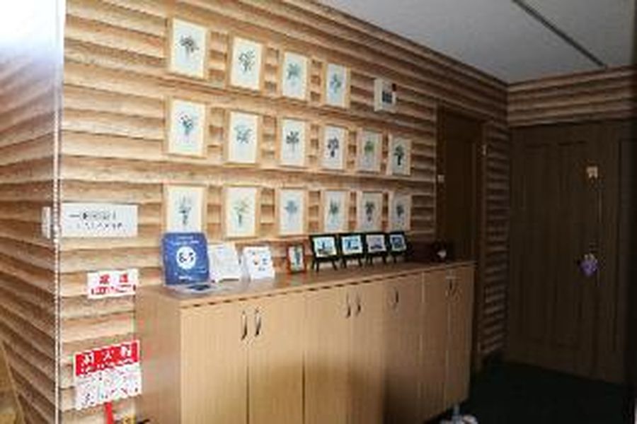 foto-2