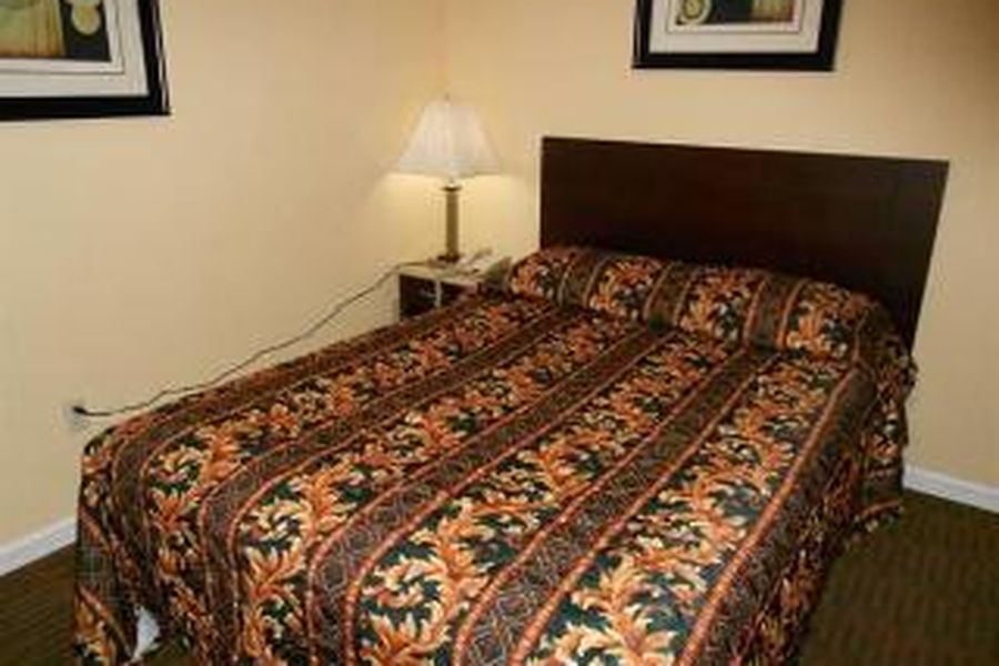 photo-3