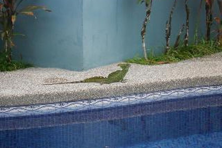 photo-2
