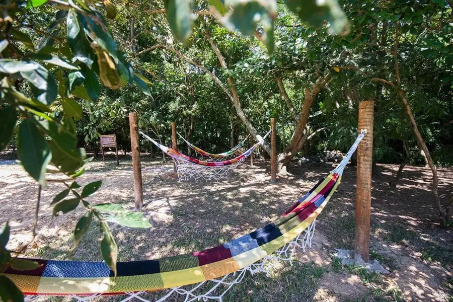 foto-3