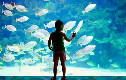 Ingressos sem fila para o Museu Oceanográfico de Mônaco