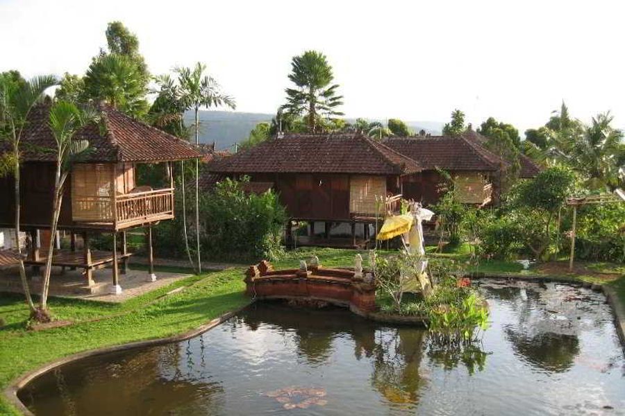 foto-1