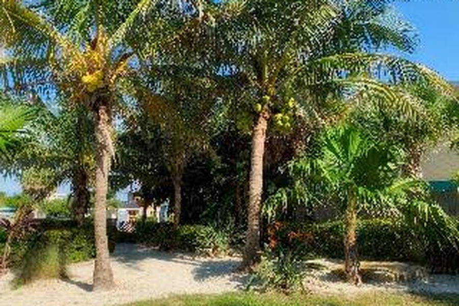 photo-1