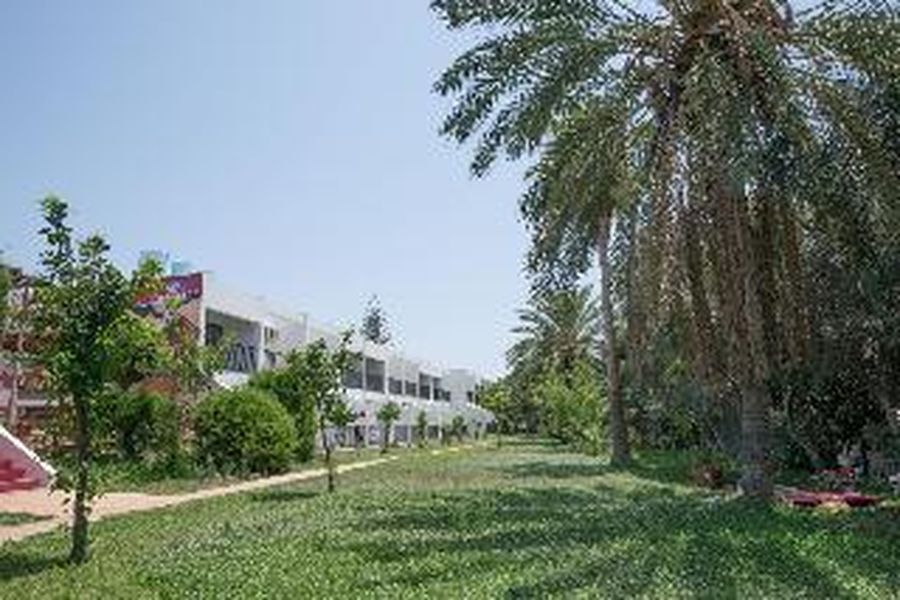 foto-2