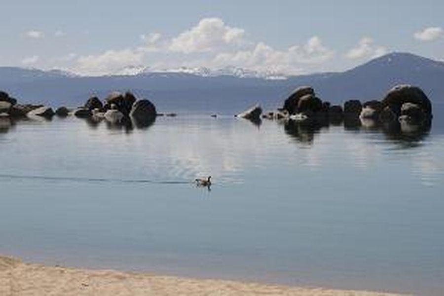 photo-3