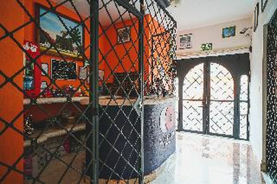 foto-1