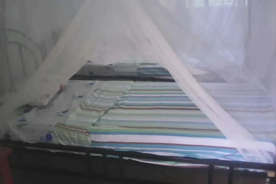 foto-3