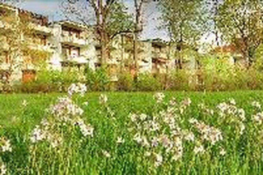 photo-3